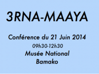 Conférence du 21 Juin 2014 à Bamako